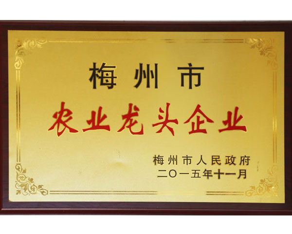 梅州市農(nóng)業(yè)龍頭企業(yè)