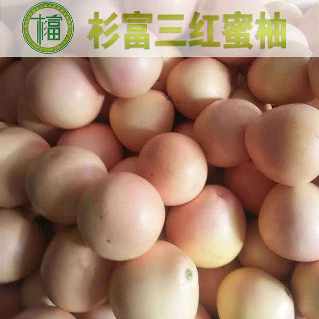 三紅蜜柚