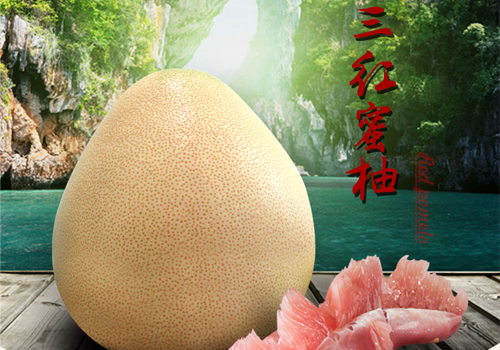 三紅蜜柚
